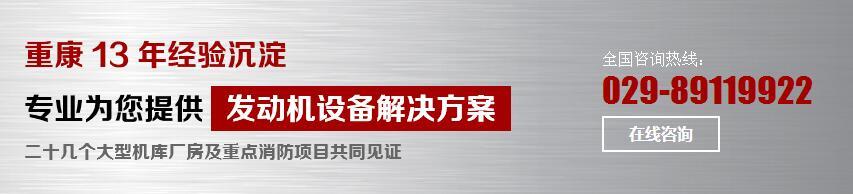 康明斯發(fā)動(dòng)機(jī)配件型號