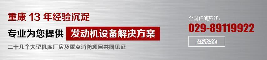 康明斯發(fā)動(dòng)機(jī)租賃